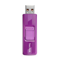 Sandisk Cruzer Purple 8GB (SDCZ36E-008G-B35P)